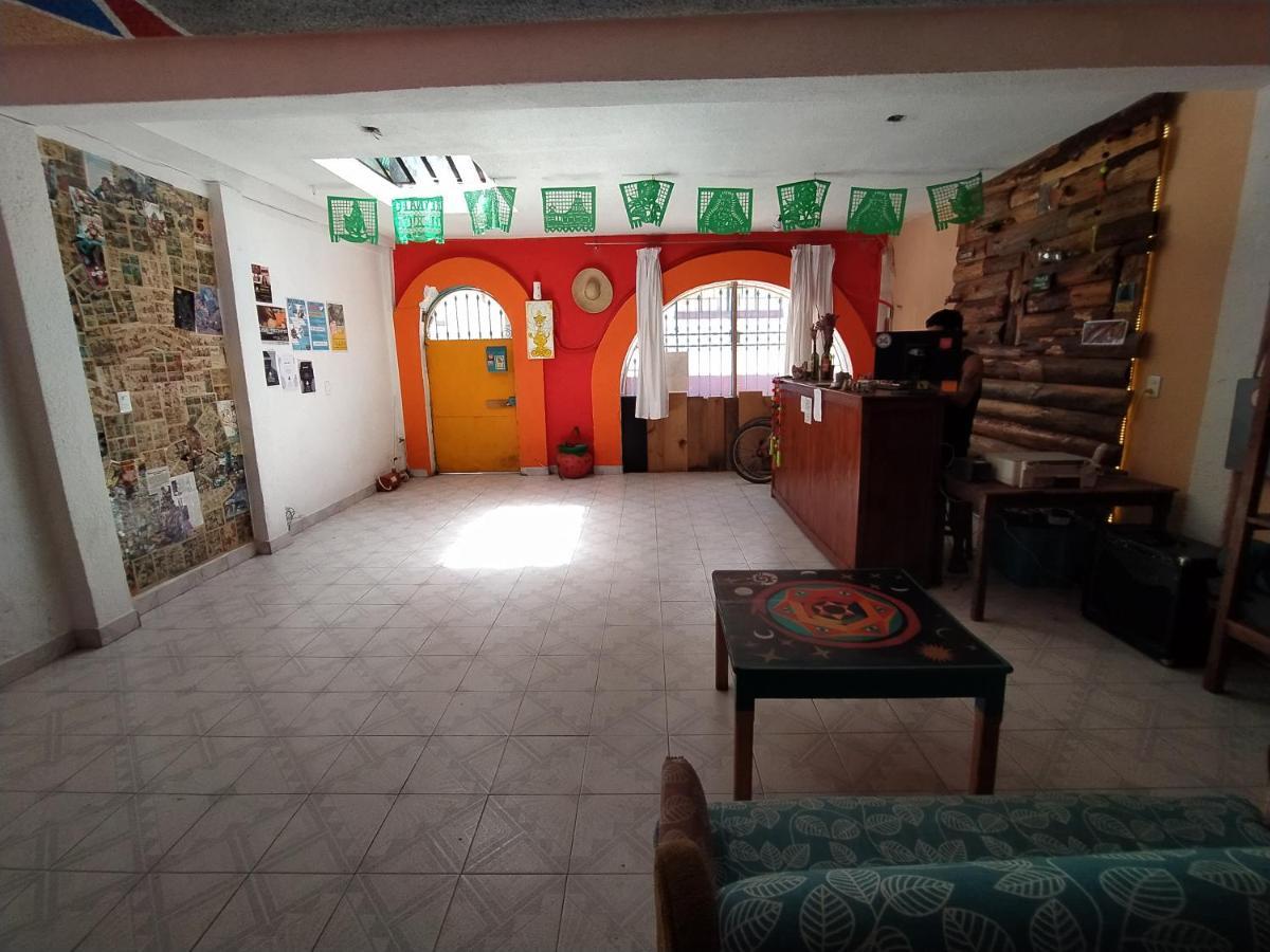 Lipi House Hostel San Cristobal de las Casas Bagian luar foto