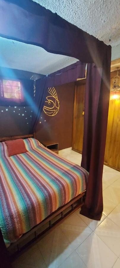 Lipi House Hostel San Cristobal de las Casas Bagian luar foto
